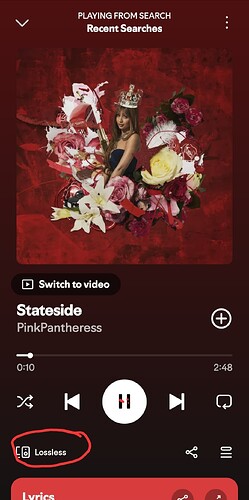 Screenshot_20251008_231312_Spotify