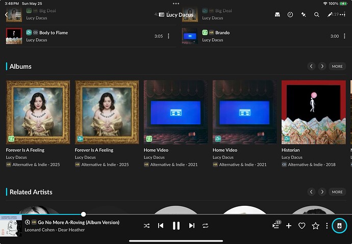 Lucy Dacus example of dups.05.25